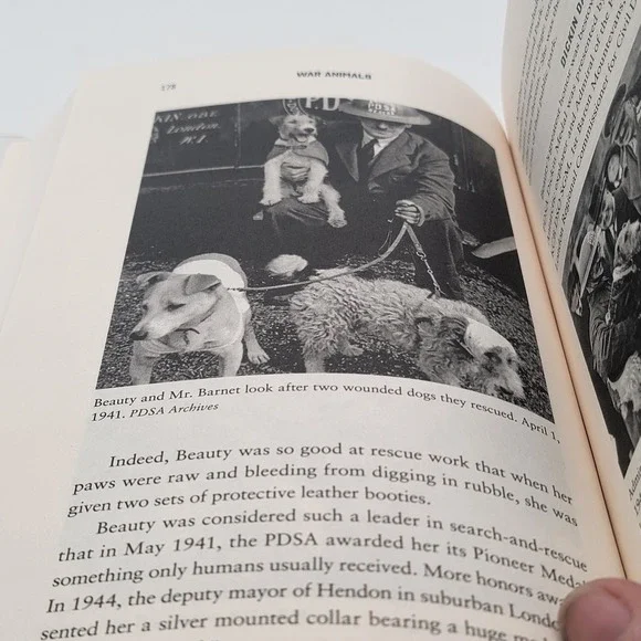 Robin Hutton War Animals Hardcover 1st Printing WWII History Remainder Good - Picture 9 of 10